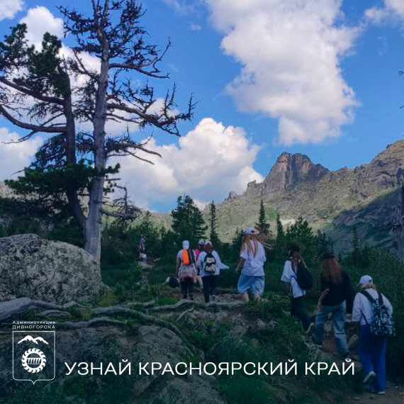 Социальный сертификат на путешествия.